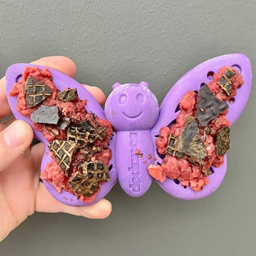 Nylon-Butterfly-Chew-Toy3 butterfly