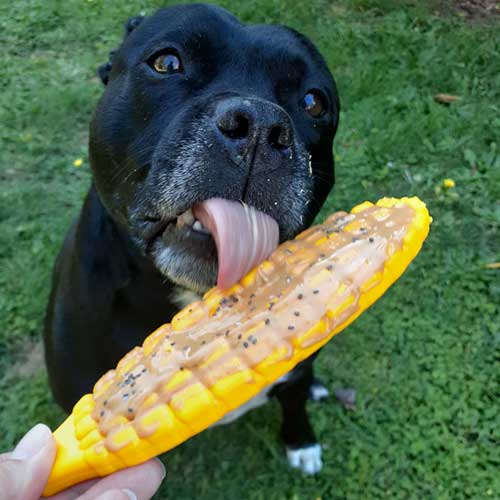Nylon-Corn-On-The-Cob2 corn
